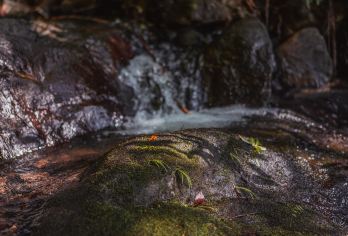 广东韶关经律论文化旅游小镇一日游【公司团建、集体出游方案】【[团队出游]您是否需要策划一场完美的公司旅行，快点击客服咨询吧】