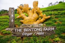 The Bentong Farm Malaysia 文东休闲农场-文冬-liLizzy