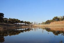 西平国家森林公园景点图片