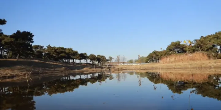 西平森林公園