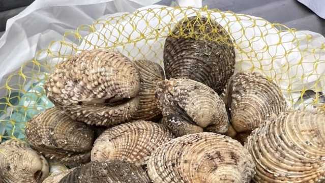 Oltre il Gusto餐厅图片