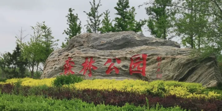 黃驊市森林公園