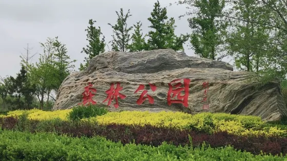 黃驊市森林公園