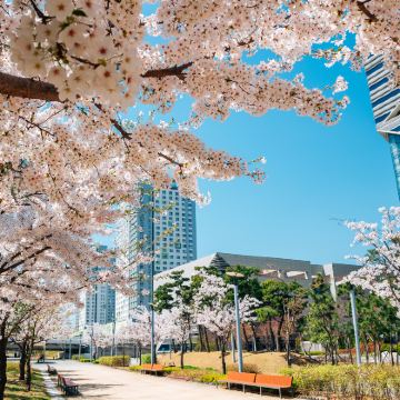 韩国首尔+仁川+春川市+水原7日6晚拼小团