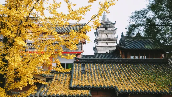 塔坪寺