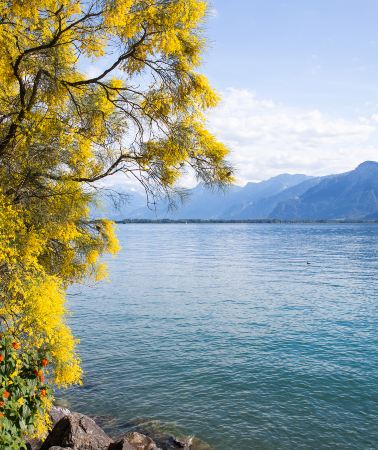 10D8N • Zurich, Geneva, Interlaken & Lucerne – Ultimate Swiss panoramic journey with premium private car service