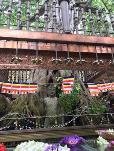 冈嘎拉马寺庙-科伦坡-yangduoduo17