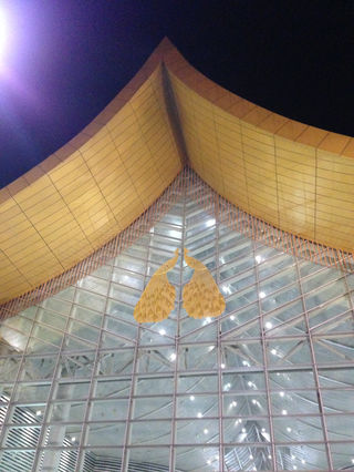 欠自己的旅行，终有一天要还给自己——彩云之南~第一次远行的闺蜜游~