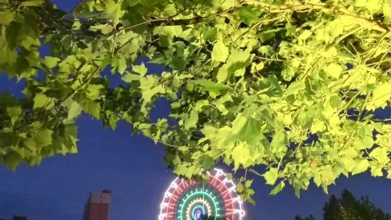 河口孤島植物園