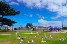 瓦南布尔-瓦南布尔-优的良仕