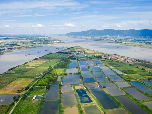 砚洲岛