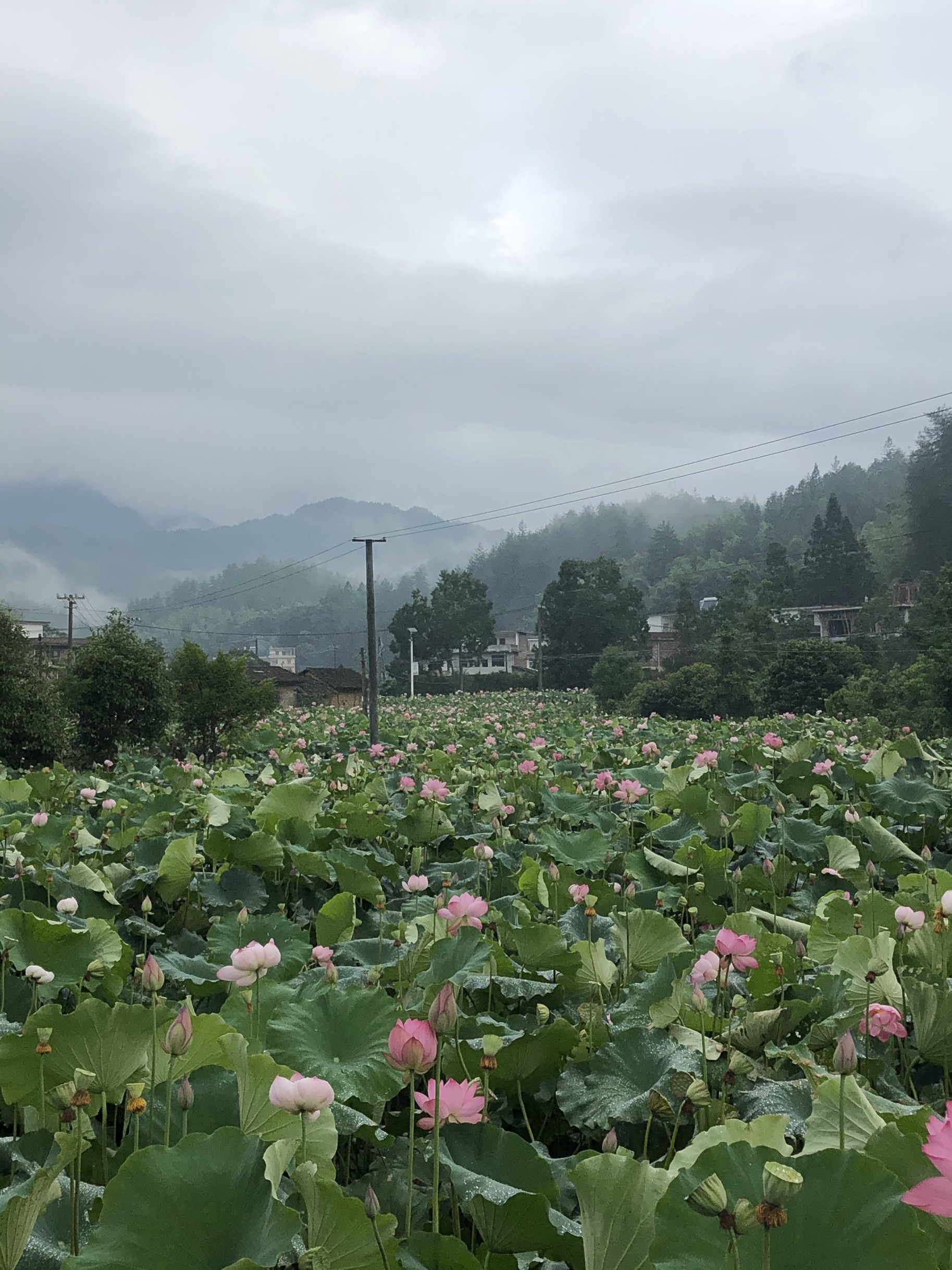 邓力群故居