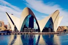 瓦伦西亚海洋公园-瓦伦西亚-小思文