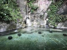 樱花谷-腾冲-YoYo_7R9N0F6D