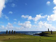 复活节岛-复活节岛-一只胖腊肠