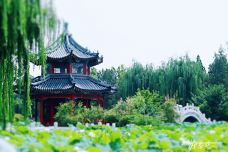 古莲花池-保定-YoYo_7U3L9I7J