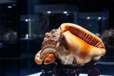 贝壳王国-秦皇岛-C-IMAGE