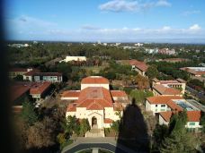 斯坦福大学-斯坦福-西溪老翁