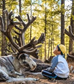 呼伦贝尔游记图文-呼伦贝尔大草原，这个夏天，带着娃去一次边疆草原，呼伦贝尔大草原
