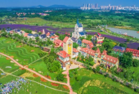 花博汇(知音花月夜)景点图片