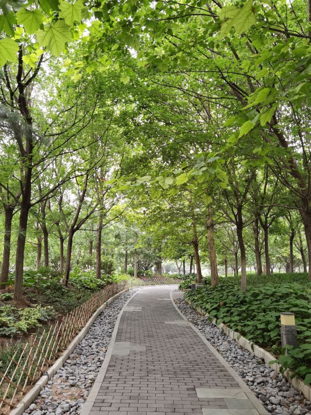 金中都城墙遗址公园旅行图片 4