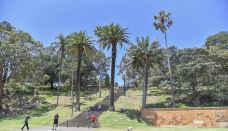 悉尼皇家植物园-悉尼-zhulei831230