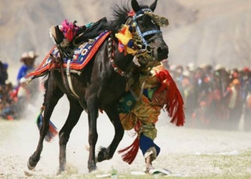 你拍了拍闺蜜雪顿节,带你在拉萨吃酸奶看藏戏