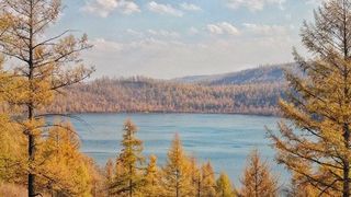 呼伦贝尔深秋之旅