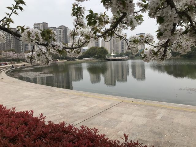 新江湾城公园旅行图片 8