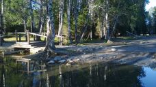 白桦林-布尔津-老吴华哥