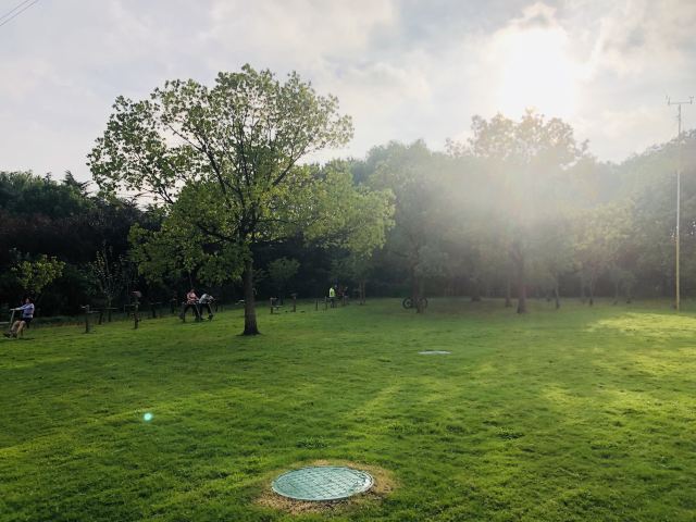 昆山市城市生态森林公园旅行图片 4