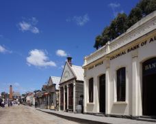 疏芬山-Golden Point-zhulei831230