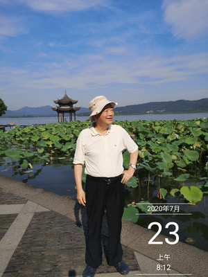 集贤亭：清晨观荷