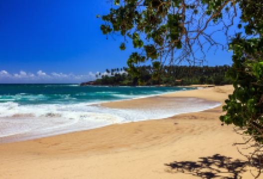 坦加勒海滩景点图片