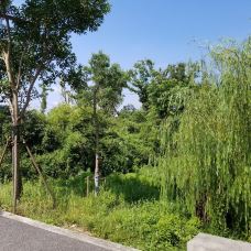 广富林郊野公园-上海-辰宁在心