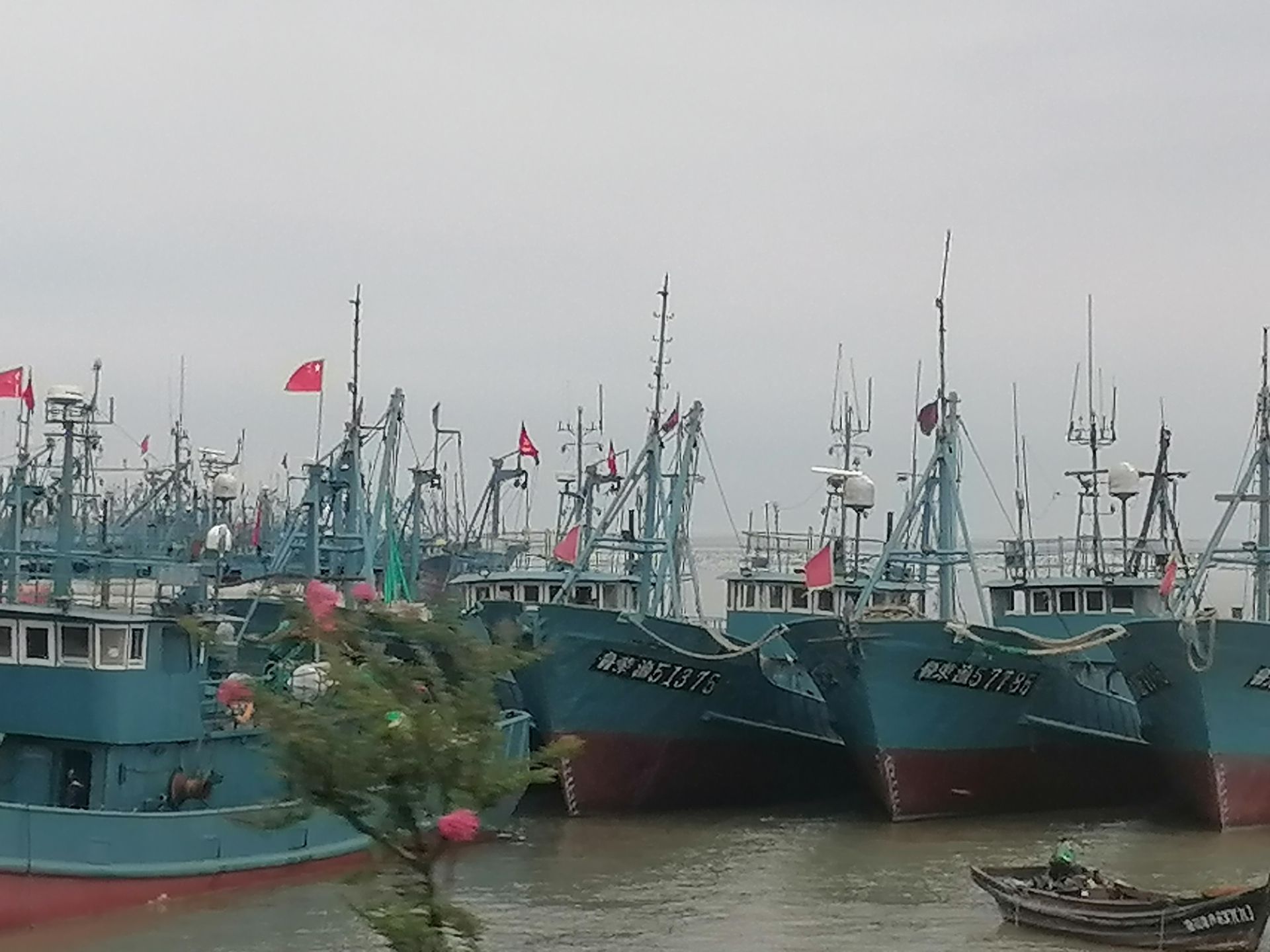 龙须岛