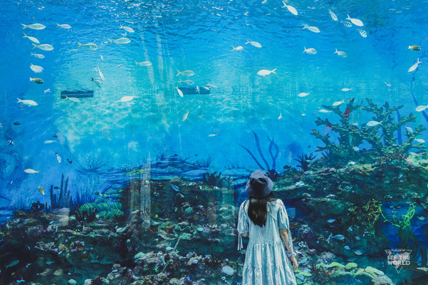夏日解暑—解锁《三十而已》同款海昌海洋公园