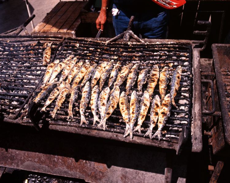 Grilled Sardines