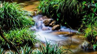 【这辈子都不想爬山了】系列2！2020年8月井冈山自然景观漫游7日---肉测良心建议