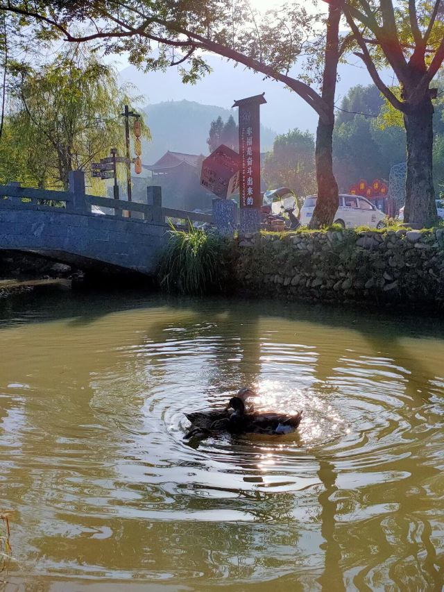 梵净山公园旅行图片 6