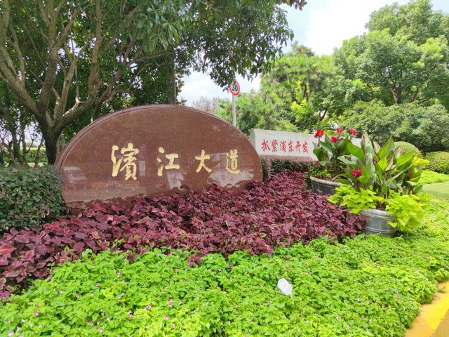 滨江大道旅行图片 1