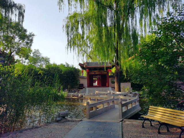 碑林公园旅行图片 2