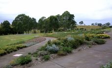 澳洲国家植物园-阿克顿区-小凌60