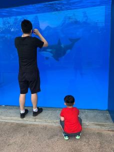 苏州海洋馆-苏州-travelererer