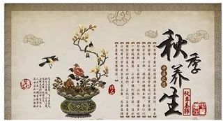 四季养生篇之秋养肺: 这个周末,随我磐安养肺去!