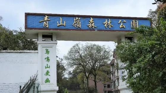 青山嶺森林公園