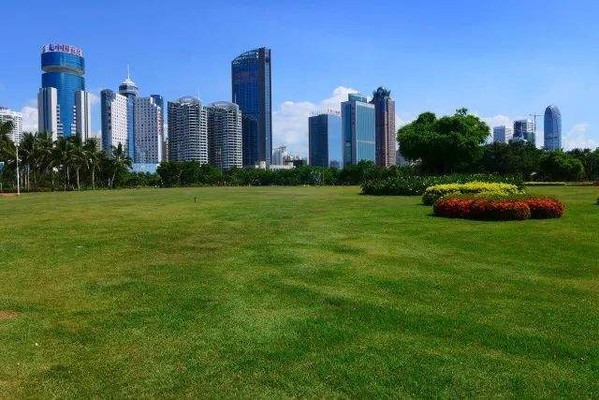 冬季牵手游海口,感受海口的美景与美食