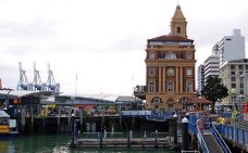 豪拉基湾-奥克兰-小小呆60