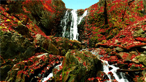 桓仁游记图文-中国辽宁桓仁冰湖沟游记（图）