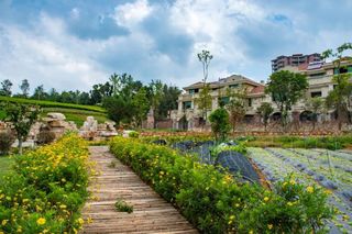 抚仙湖畔,藏了一个把闲暇舒适生活变为现实的“桃花源”?